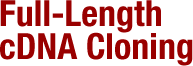 Full-Length cDNA Cloning