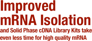 Improved mRNA Isolation