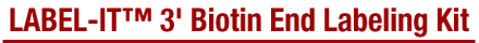Label-IT™ 3' Biotin End Labeling Kit